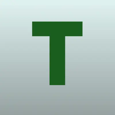 Тимоша, магазин гелиевых шаров, лого-визитка